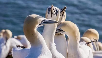 九游体育娱乐官网-赛前采访Knight：把之前犯的失误多改进，因为之前打得实在是太差了