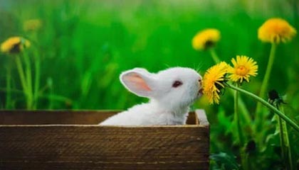 九游体育娱乐官网-赛前采访Knight:把之前犯的失误多改进,因为之前打得实在是太差了